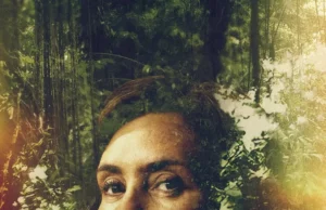 Os Outros: A grandeza de Adriana Esteves contra a fragilidade do roteiro final.